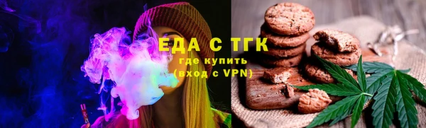 мет Инта