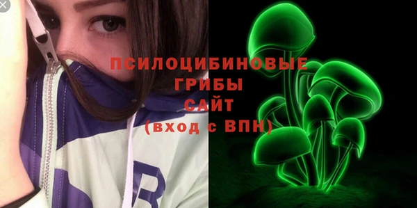 крисы Инсар