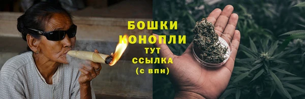 крисы Инсар
