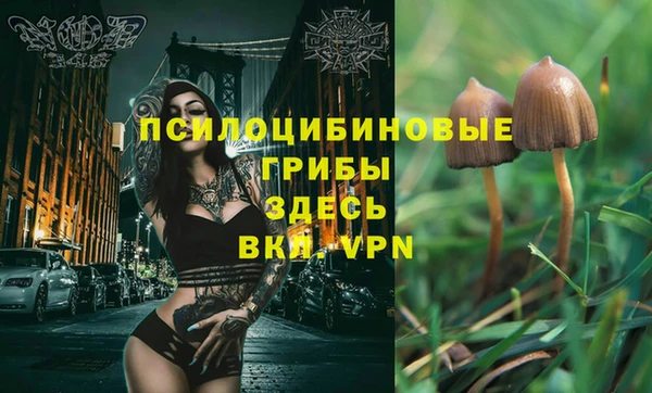 экстази Новокубанск