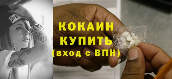 крисы Инсар