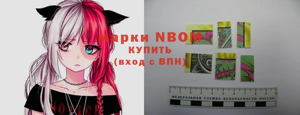 крисы Инсар
