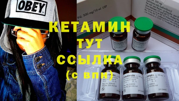 мет Инта
