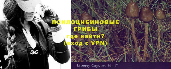 мет Инта