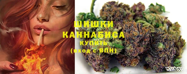 крисы Инсар