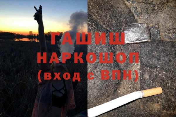 крисы Инсар