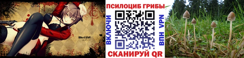 Купить  Бирюсинск  Псилоцибиновые грибы прущие грибы 
