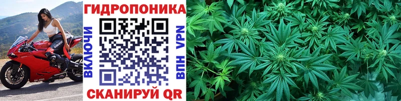 Купить закладки  Бирюсинск  МАРИХУАНА индика 